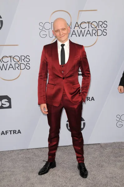 Los Angeles Jan Anthony Carrigan 25Th Annual Screen Actors Guild — Fotografia de Stock