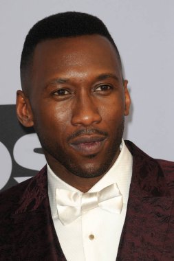 Los Angeles - 27 Ocak: Mahershala Ali, 25 yıllık Screen Actors Guild tapınak Auditorium'da 27 Ocak 2019 Los Angeles, Ca Ödülleri