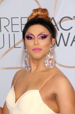 Los Angeles - 27 Ocak: Shangela Pierce, 25 yıllık Screen Actors Guild tapınak Auditorium'da 27 Ocak 2019 Los Angeles, Ca Ödülleri