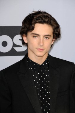 Los Angeles - 27 Ocak: Timothee Chalamet, 25 yıllık Screen Actors Guild tapınak Auditorium'da 27 Ocak 2019 Los Angeles, Ca Ödülleri
