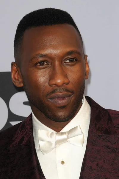 ロサンゼルス Mahershala アリ回映画俳優組合賞神社の講堂で 2019 日にロサンゼルス カリフォルニア州で — ストック写真