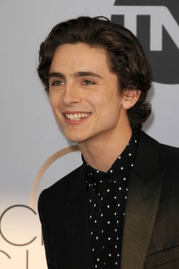 Los Angeles - 27 Ocak: Timothee Chalamet, 25 yıllık Screen Actors Guild tapınak Auditorium'da 27 Ocak 2019 Los Angeles, Ca Ödülleri
