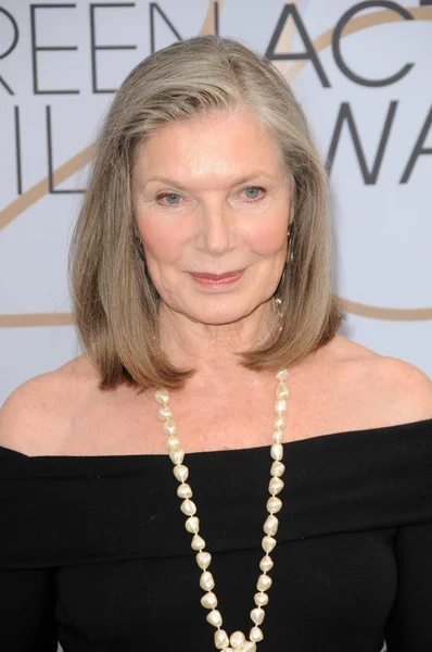 Los Angeles Jan Susan Sullivan 25Th Annual Screen Actors Guild — Stock Photo, Image