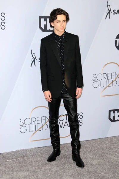 Los Angeles Ocak Timothee Chalamet Yıllık Screen Actors Guild Tapınak — Stok fotoğraf