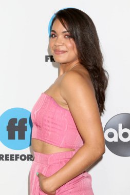 Los Angeles - 5 Şubat: Barrett Doss Disney Abc televizyon kış basın tur fotoğraf çağrısında Langham Huntington Hotel'in 5 Şubat 2019 tarihinde Pasadena, Ca