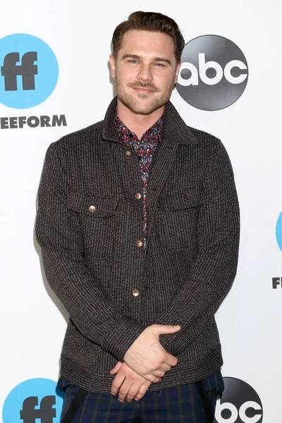 Los Angeles Feb Grey Damon Disney Abc Television Winter Press — Stock Photo, Image