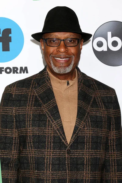 Los Angeles Feb James Pickens Disney Abc Television Winter Press — Stock Photo, Image