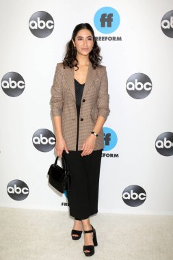 Los Angeles - 5 Şubat: Nikohl Boosheri Disney Abc televizyon kış basın tur fotoğraf çağrısında Langham Huntington Hotel'in 5 Şubat 2019 tarihinde Pasadena, Ca