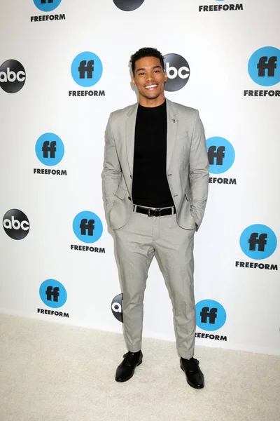 Los Angeles Feb Rom Flynn Beim Disney Abc Television Winter — Stockfoto