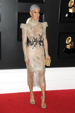 Los Angeles - Şubat 10: Sibley Scoles 61, Grammy Staples Center 10 Şubat 2019 Los Angeles, Ca Ödülleri