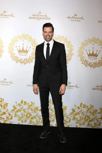 Los Angeles Lutego Benjamin Ayres Hallmark Zima 2019 Tca Imprezie — Zdjęcie stockowe