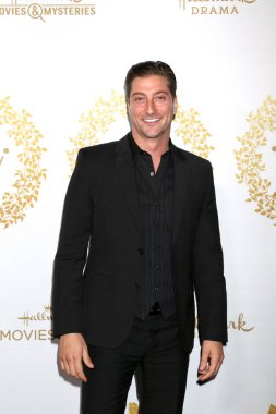 Los Angeles - 9 Şubat: Daniel Lissing 9 Şubat 2019 turnuva şirketten Pasadena, Ca Hallmark kış 2019 Tca etkinlikte