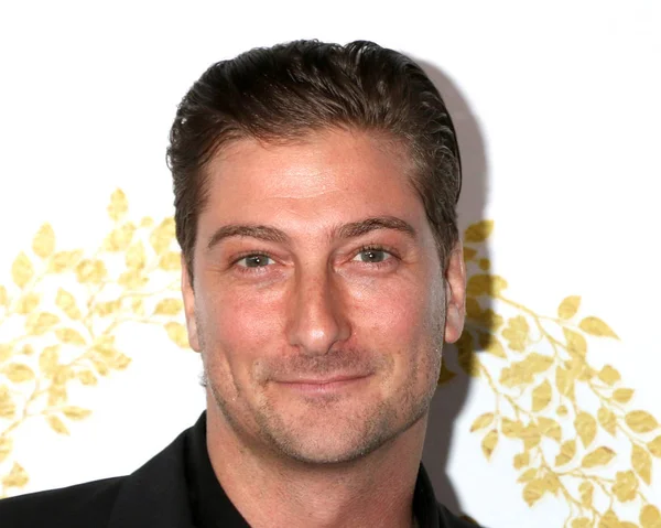 Los Angeles Lutego Daniel Lissing Gali Tca Zima 2019 Hallmark — Zdjęcie stockowe