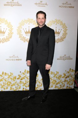 Los Angeles - 9 Şubat: Niall madde 9 Şubat 2019 turnuva şirketten Pasadena, Ca Hallmark kış 2019 Tca etkinlikte