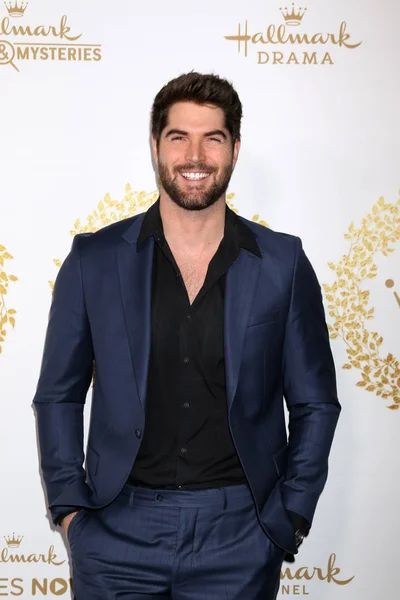 Los Angeles Feb Nick Bateman Hallmark Winter 2019 Tca Evenement — Stockfoto