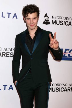 LOS ANGELES - FEB 8:  Shawn Mendes at the MusiCares Person of the Year Gala at the LA Convention Center on February 8, 2019 in Los Angeles, CA