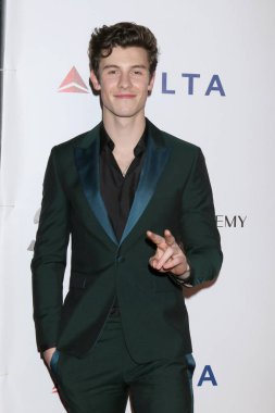 Los Angeles - 8 Şubat: Shawn Mendes yıl Gala La Kongre Merkezi'nde 8 Şubat 2019 tarihinde Los Angeles, Ca Musicares kişi