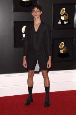 61 Grammy Ödülleri