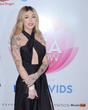 2019 çay Show Transgender Erotica Ödülleri