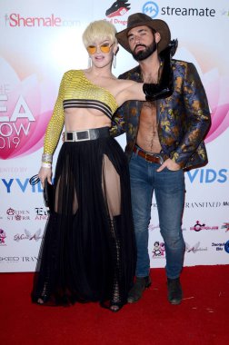 2019 çay Show Transgender Erotica Ödülleri