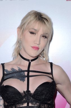 2019 çay Show Transgender Erotica Ödülleri