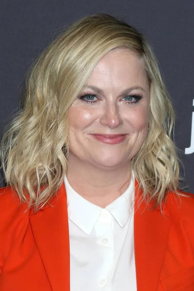 PaleyFest - "Parks and Recreation" 10-vuotisjuhlallisuudet — kuvapankkivalokuva