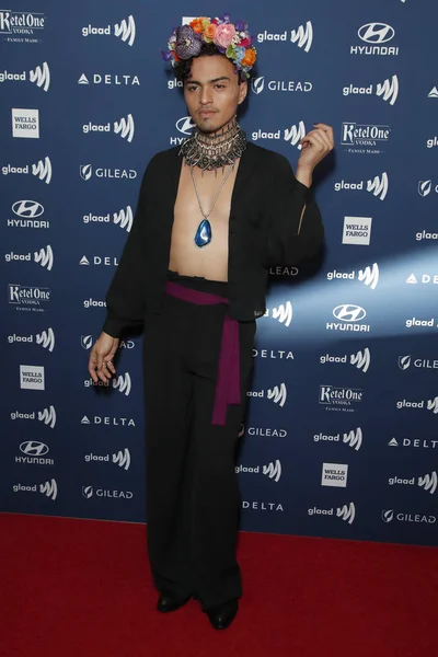 30. årlige GLAAD Media Awards – stockfoto