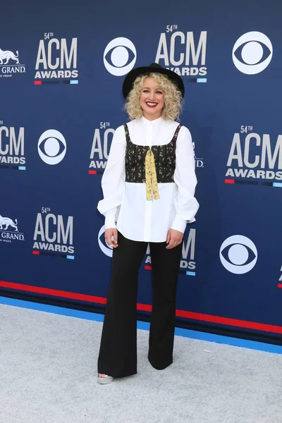 54e Academy of Country Music Awards — Stockfoto