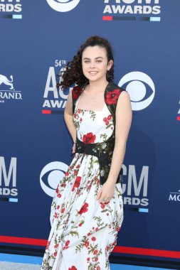 54. ülke müziği Ödülleri Akademisi