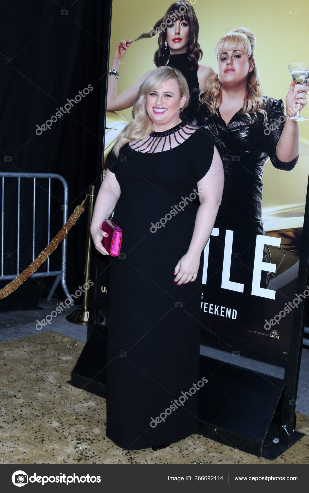 the hustle premiere