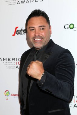 Amerikan İkon Ödülleri