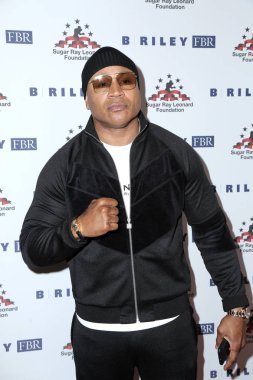 10 Yıllık Big Fighters, Big Cause Charity Boks Gecesi