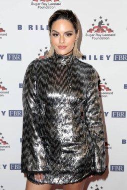 10 Yıllık Big Fighters, Big Cause Charity Boks Gecesi