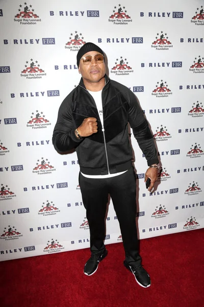 10th Annual Big Fighters, Big Cause Charity Boxing Night — Stock Photo, Image