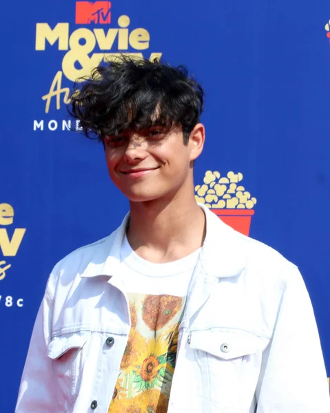 2019 MTV Movie & TV Awards — Stock Photo, Image