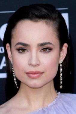 2019 Billboard Müzik Ödülleri