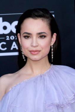 2019 Billboard Müzik Ödülleri