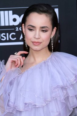 2019 Billboard Müzik Ödülleri