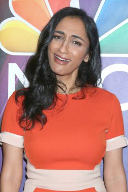 Nbc Tca Yaz 2019 Basın Turu