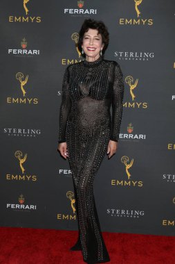 2019 Gündüz Programlama Akran Grubu Alımı