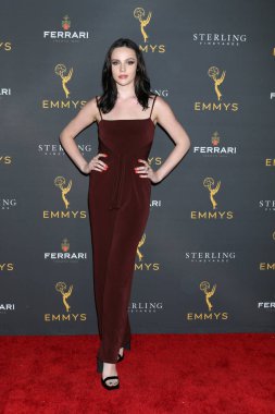 2019 Gündüz Programlama Akran Grubu Alımı