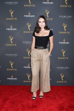 2019 Gündüz Programlama Akran Grubu Alımı