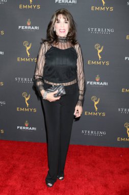 2019 Gündüz Programlama Akran Grubu Alımı