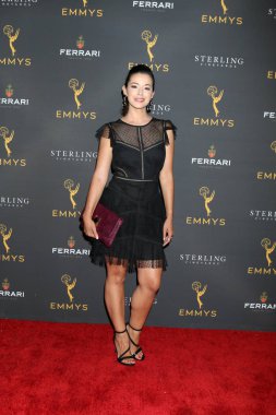 2019 Gündüz Programlama Akran Grubu Alımı