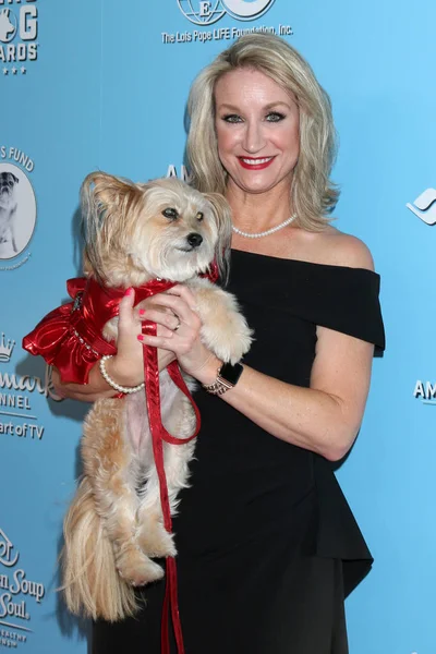 9. årlige American Humane Hero Dog Awards - Stock-foto