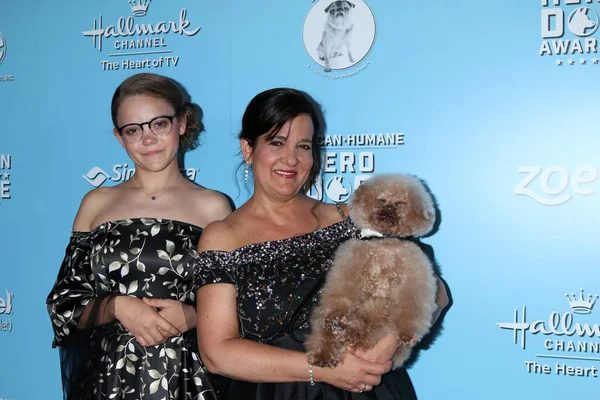 9. vuosittainen American Humane Hero Dog Awards — kuvapankkivalokuva