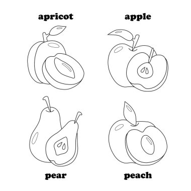 Siyah ve beyaz meyve ayarlayın. Kayısı, elma, armut, şeftali.