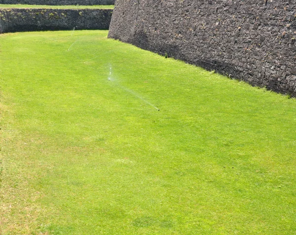 Irrigatori Che Annaffiano Giardino Erba — Foto Stock