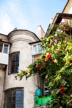 Güzel bir eski ev. Beyaz windows. İlk planı yeşil ağaç