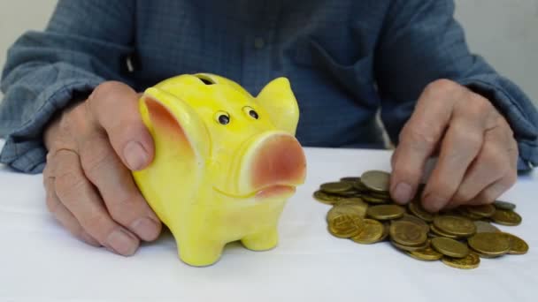 Saving Money Piggy Bank — Stock Video
